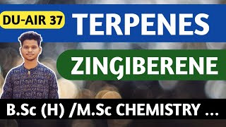 TERPENOIDS  ZINGIBERINE  MONOCYCLIC SESQUITERPENE  BSC MSC CUET [upl. by Eidoc]