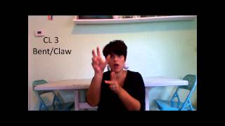 Learn ASL in 31 Days Day 25 Classifiers [upl. by Ecined46]