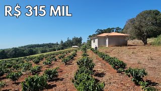 INDISPONÍVEL CHÁCARA TERRA ROXA CASA E CAFÉ RICA EM ÁGUA R 315 MILCódigo2189 [upl. by Carl]