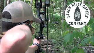 Total Archery Challenge 7 Springs  BRCC Course [upl. by Chlori]