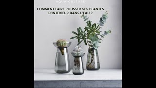 Comment faire pousser ses plantes d’intérieur dans l’eau [upl. by Elohc]