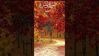 Surah yunus Ayah12 Quran recitation telawat islamic shorts urdu english translation [upl. by Ecirehs]