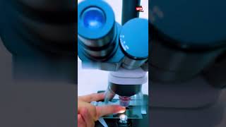 Microscopic View Of Finger facts science youtubeshort knowledge finger [upl. by Isolda]