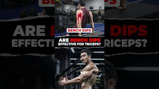 Perfect Your Bench Dips Triceps Tips for Safe and Effective Gains jeetselal hsacademy shorts [upl. by Quirita]