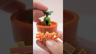 Gashapon  Miniature Mandragora  Harry Potter Shorts ガチャガチャ [upl. by Brigitta]