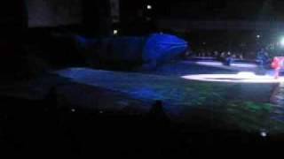 Buscando a Nemo Disney On Ice [upl. by Tirb385]