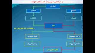 régulation de la glycémie خطاطة مبسطة لآلية تنظيم تحلون الدم [upl. by Retseh429]