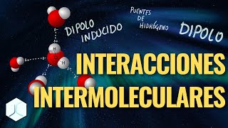 Interacciones INTERMOLECULARES ¿qué es un dipolo y los puentes de hidrógeno [upl. by Eleon]