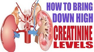 How to bring down or reduce high creatinine levels  prevent kidney failure naturaly [upl. by Dez]