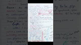 Trypanosoma  protozoa  Zoology shorts notes biology zoology spsc spsc fpsc [upl. by Tnilc]