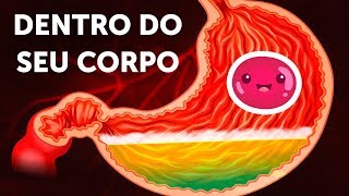 Uma Jornada Dentro Do Corpo Humano [upl. by Remled]