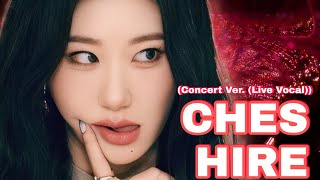 Cheshire ITZY Concert Ver Live Vocal [upl. by Ennoirb]