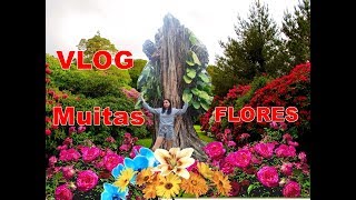 Vlog Passeio na Florália Floricultura de Niterói [upl. by Nappy493]