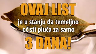 Lovorov list za kašalj mršavljenje  recepti za čaj i sirup [upl. by Nivlem]