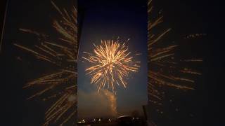 WOLF WARRIOR FIREWORK 18 SHOTS [upl. by Amesari]