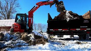 Loading amp Hauling Manure Plus Bonus Creek Crossing Footage At The End [upl. by Felicidad]