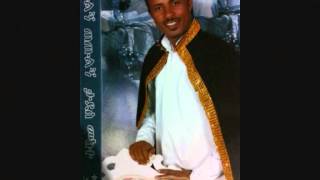 Tadesse Mekete Band presents  New Ethiopian wedding song by Tadesse Mekete  Hagare [upl. by Randene]