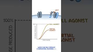 Clinical Cuts Pharmacodynamics  Agonist partial agonist antagonist [upl. by Yelreveb]