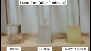 Lucas Test for Alcohols [upl. by Orvah151]