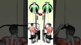 Lat Pull Down Vs Close Grip Lat Pull Down  Close Grip Lat Pull Down Vs Lat Pull Down  Back Workout [upl. by Lahcar]