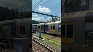 Endeavour vs tangara train part 1 [upl. by Einnob849]