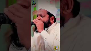 🌟qari saee dul Islam recitationtilawat tilawate foryou shortvideo short quran🌟 [upl. by Nylleoj]