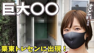 栗東トレセンに出現した「エクイバイブ」【真理子はやっぱり馬が好き】 [upl. by Wooldridge]