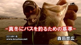 真冬にバスを釣るための基準森田哲広・琵琶湖 [upl. by Mord]