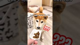 what social media dog food adverts should look like cutenessoverload [upl. by Sarine997]