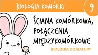 Cytologia 9  Ściana komórkowa i połączenia międzykomórkowe  biologia liceum do matury rozszerzona [upl. by Rothschild95]