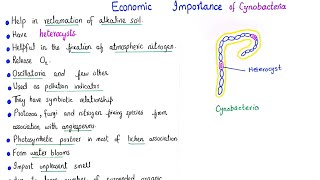 Economic importance of cyanobacteria  class 11 [upl. by Ecirtel]