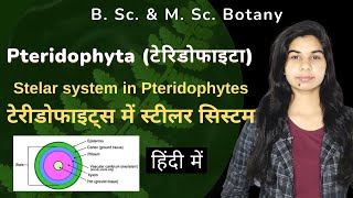 Pteridophyta  Stelar system in Pteridophytes टेरीडोफाइट्स में स्टीलर सिस्टम  हिंदी में [upl. by Anivlek838]