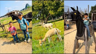 Visit To Hobbledown Heath Adventure Farm Hounslow London UK [upl. by Esorrebma]