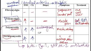 Video 189 Understanding Myopathies Fibromyalgia Polymyalgia Polymyositis and Dermatomyositis [upl. by Ysnap80]