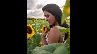 259  Instrumental  Los Girasoles de Rusia  Vincent Bell [upl. by Sutton]