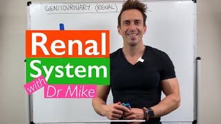 Renal System  Overview [upl. by Ybba]