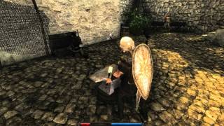 Lets Play Risen 082 Blind  Das Schwert Sturmwind [upl. by Ayocat]