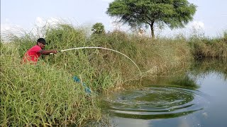 🐠TALAPIA fishingPOLE fishingcatching fihes with earth worms [upl. by Bluma]