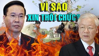 LÝ GIẢI LÝ DO VÌ SAO VỊ CHỦ TỊCH NƯỚC TRẺ NHẤT LỊCH SỬ VIỆT NAM  VÕ VĂN THƯỞNG XIN THÔI CHỨC VỤ [upl. by Acinot]