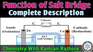 Function of salt bridge in galvanic cellEectrochemistry class 11voltaic cellmdcatecatneet [upl. by Reede]