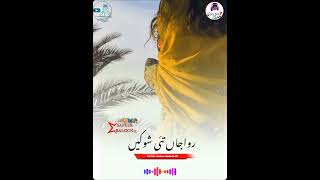 New balochi shadi song 2024 [upl. by Eednam]