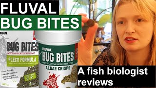 Fluval Bug Bites Plecoalgae A fish biologists reviews aquarium fish food Fluval [upl. by Oicnerolf]