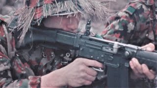 SWISS ARMY 1972 TACTICS Vintage Film quotInfantry Combatquot w Subtitles [upl. by Dolhenty]