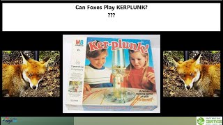 Can Foxes Play Kerplunk [upl. by Vallo]