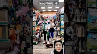 Beli mainan dogi‼️Chapitosiki [upl. by Allistir]