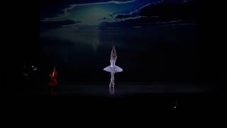 Stars Gala 2022  The Dying Swan  Svetlana Bednenko [upl. by Mirna]