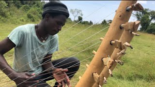 Bow Harp Adungu Music Near Lake Victoria [upl. by Ardnosal]