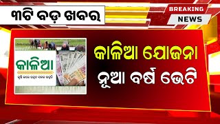 Kalia Yojana New Update 30 December  Jan Dhan Bank Account Update  Odisha TV [upl. by Ecienaj823]