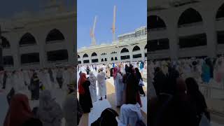 khana Kaba live ziarat 💕 religion subscribe my channel [upl. by Acirderf765]