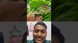 Amazing Bamboo gan amazing shorts reaction gan [upl. by Daus]